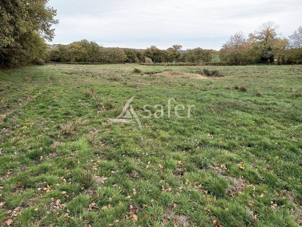 Azienda agricola In vendita Haute-Vienne