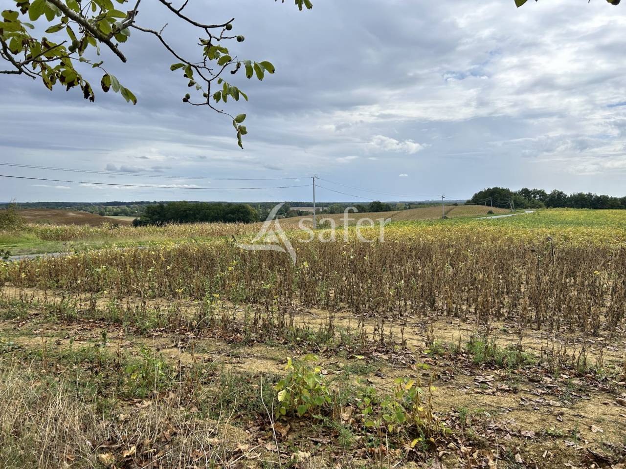 Azienda agricola In vendita Lot-et-Garonne