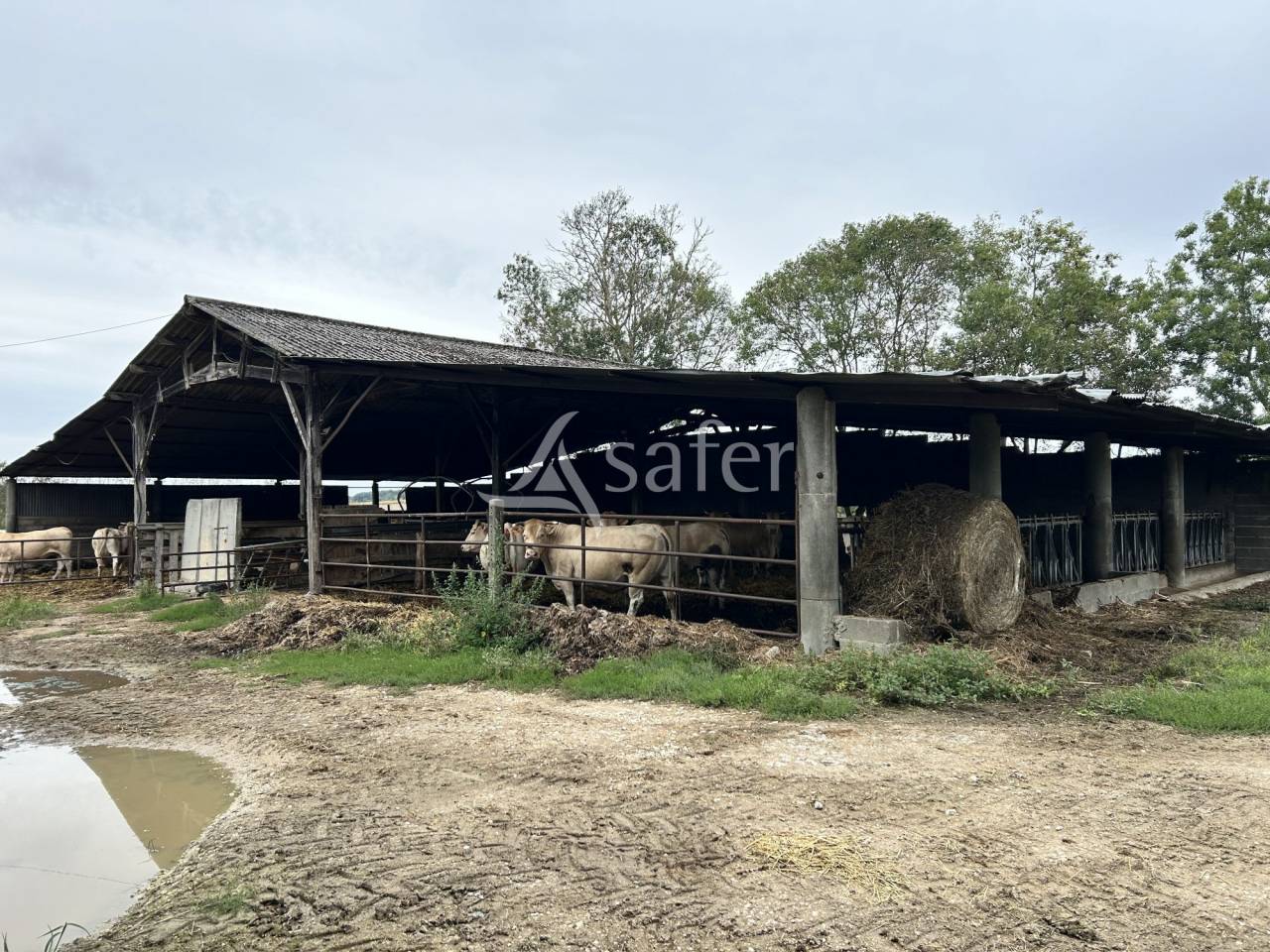 Azienda agricola In vendita Lot-et-Garonne