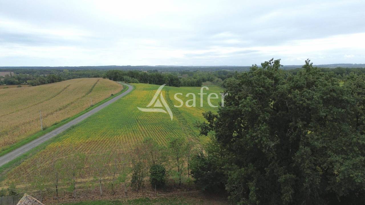 Azienda agricola In vendita Lot-et-Garonne