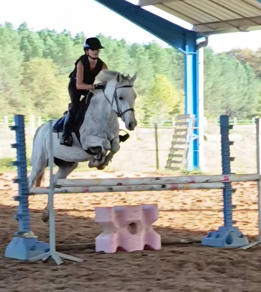 Castrone PFS Pony Francese da Sella In vendita 2018 Grigio ,  Happy des Charmes PFS