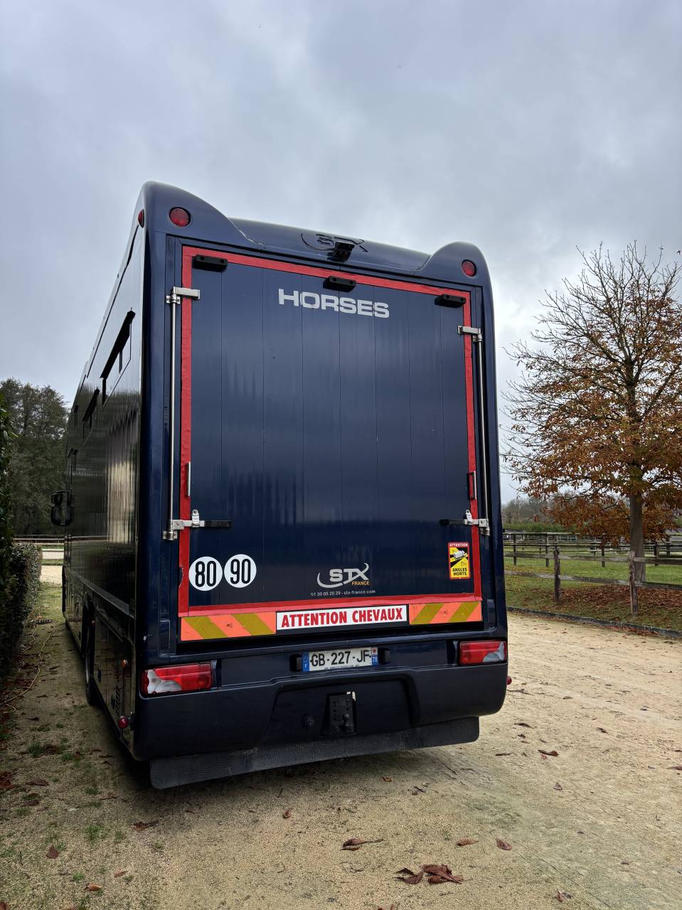Camion per Cavalli Iveco STRALIS 2011 Occasione