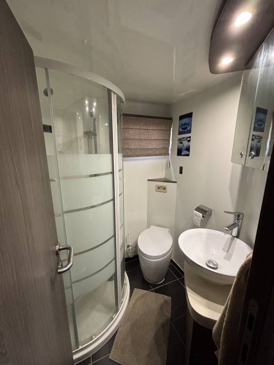 Camion per Cavalli Iveco STRALIS 2011 Occasione