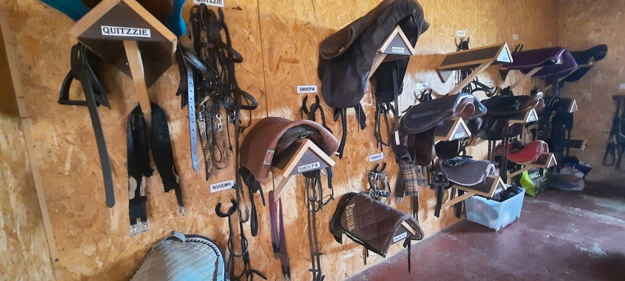 Scuderia per proprietari In vendita Deux-Sèvres