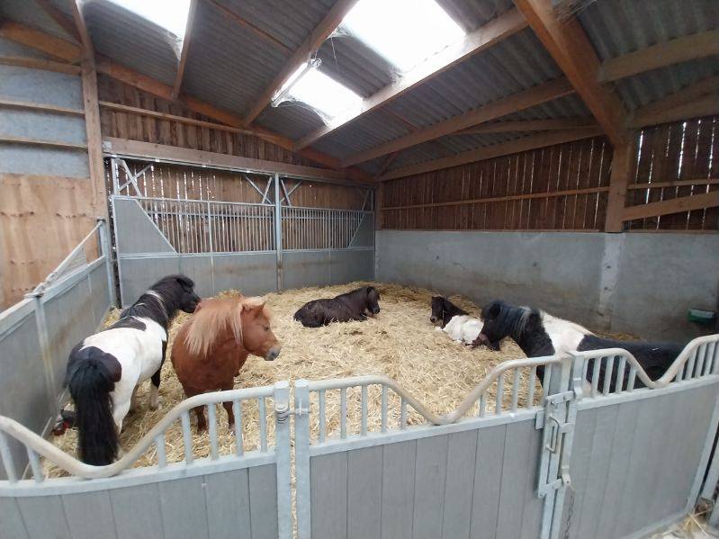 Scuderia per proprietari In vendita Deux-Sèvres