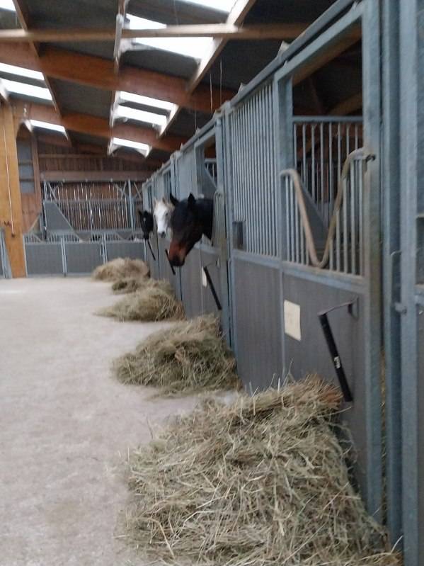 Scuderia per proprietari In vendita Deux-Sèvres