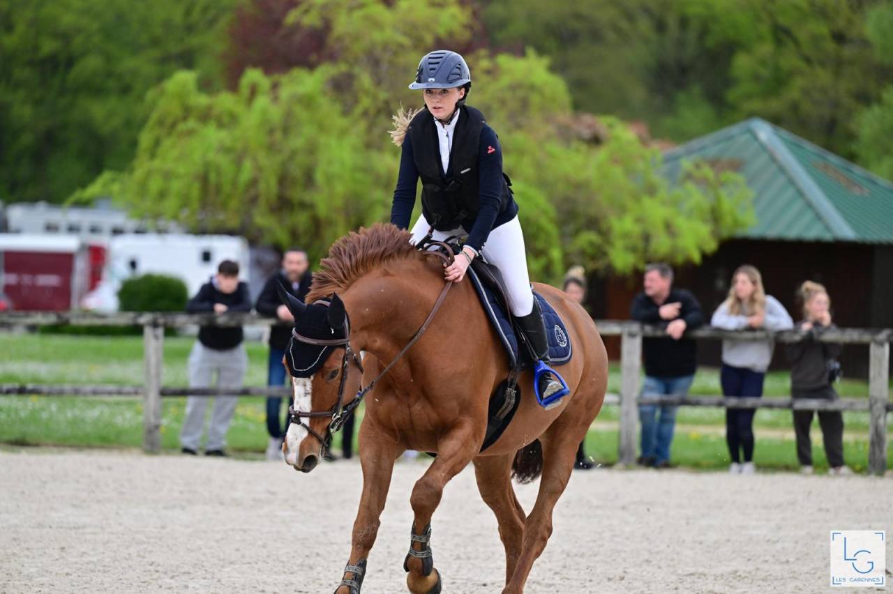 Cavalla Sella Francese In vendita 2011 Sauro