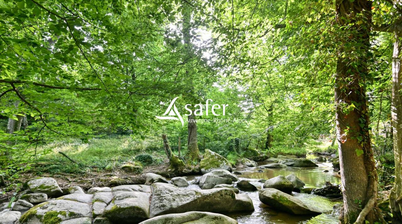 Propriet&agrave; rurale In vendita Rh&ocirc;ne