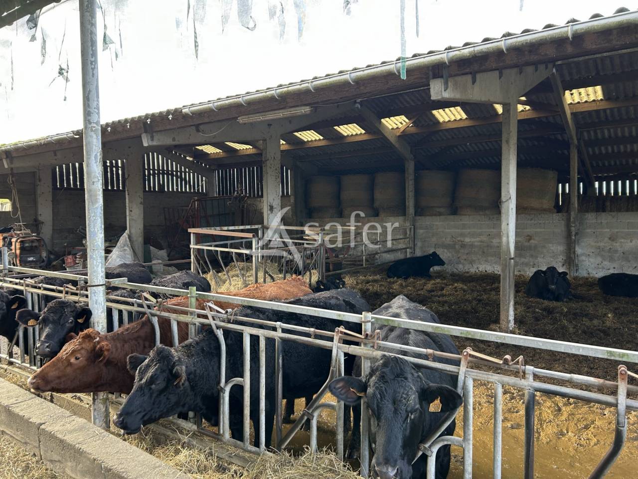 Azienda agricola In vendita Lot-et-Garonne