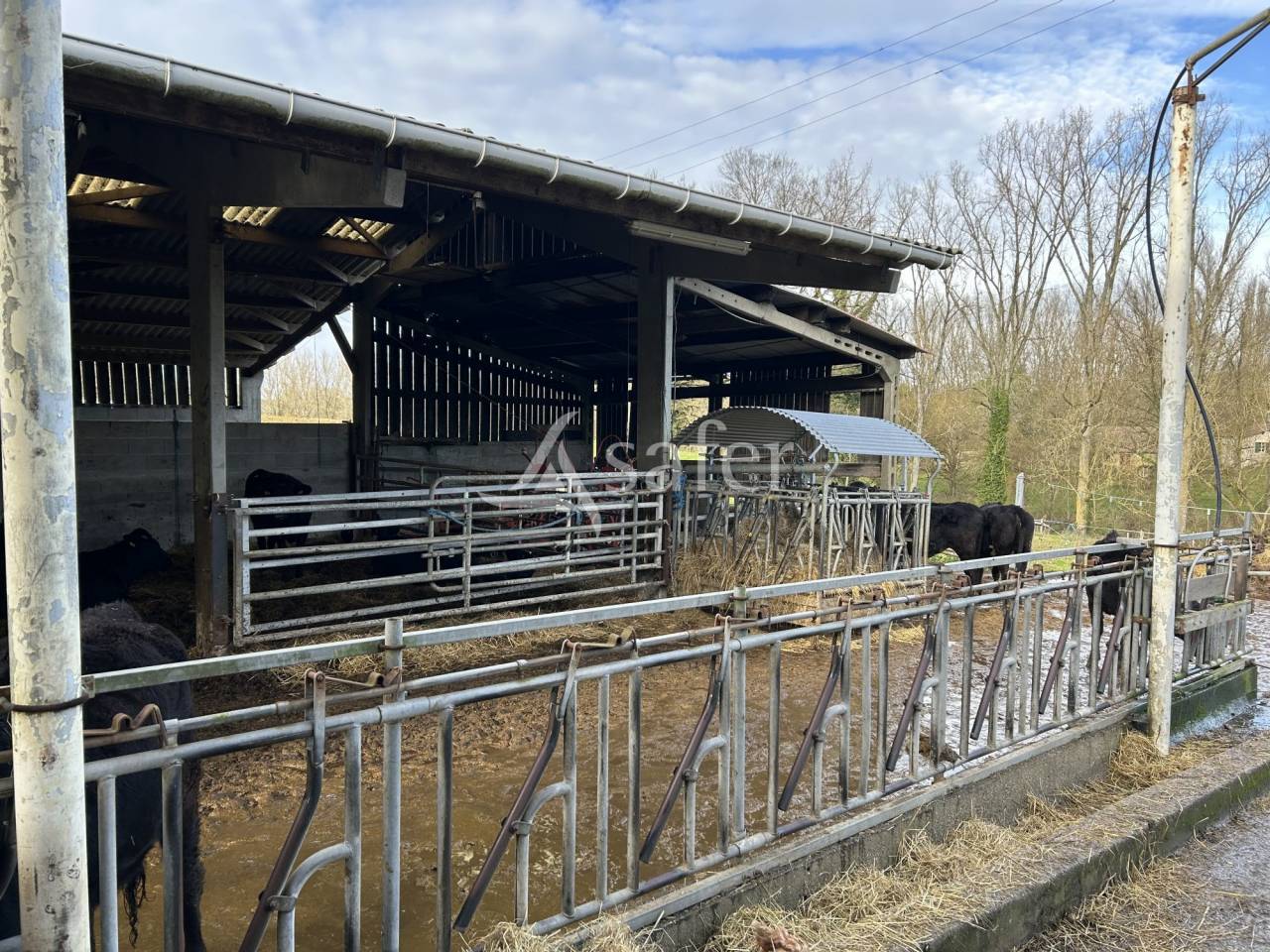 Azienda agricola In vendita Lot-et-Garonne