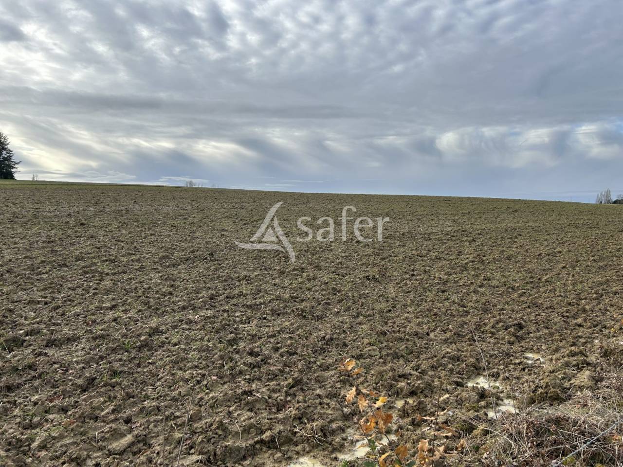 Azienda agricola In vendita Lot-et-Garonne