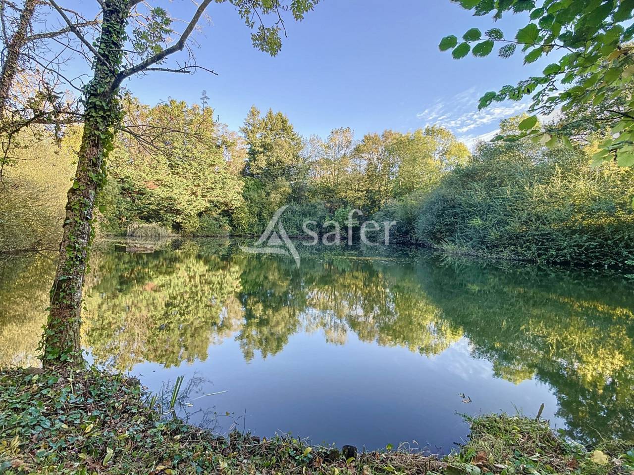 Proprietà rurale In vendita Vendée