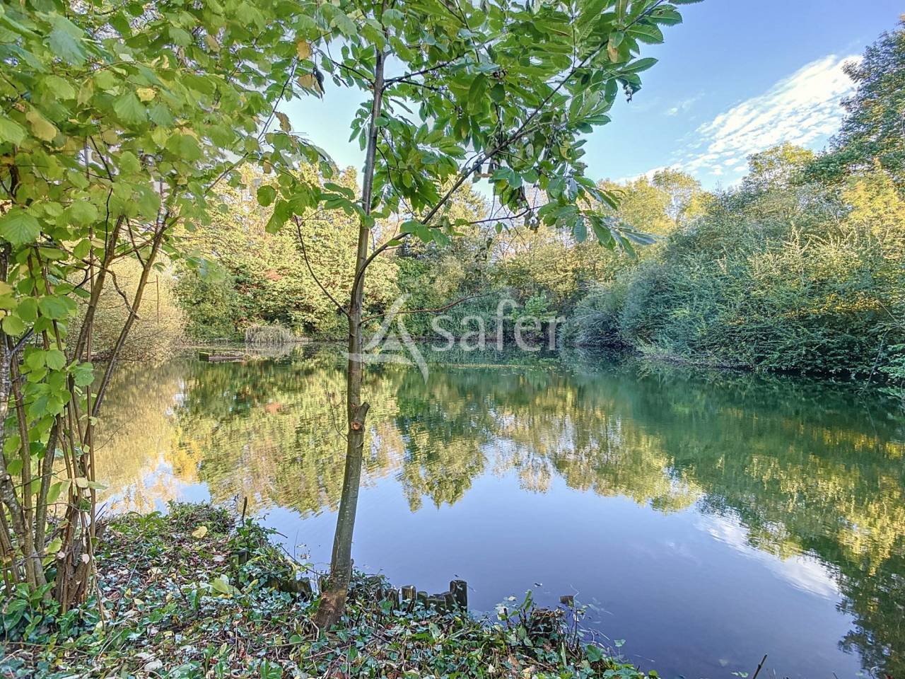 Proprietà rurale In vendita Vendée