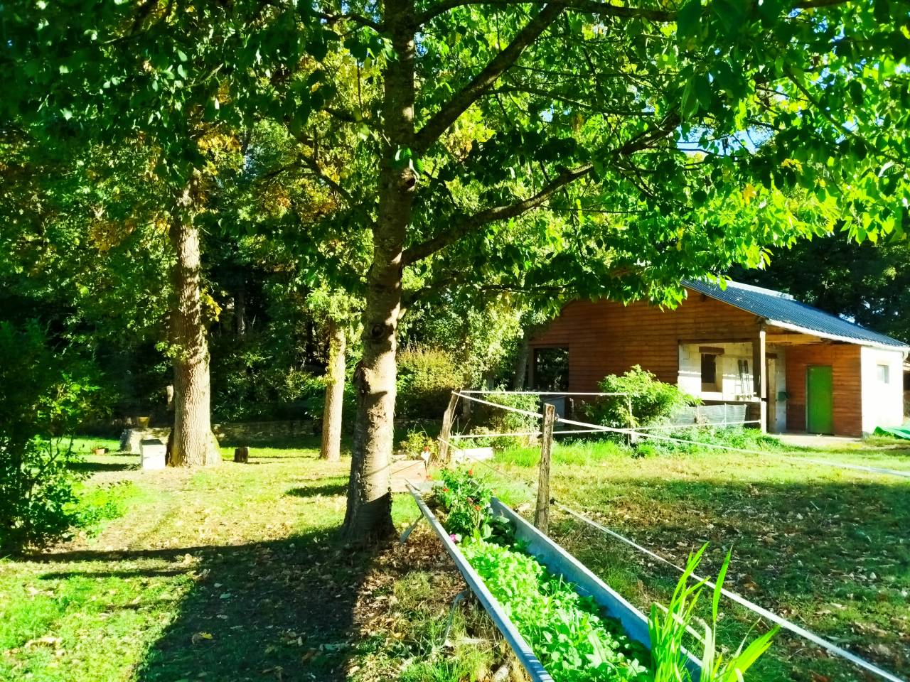 Bella dimora equestre In vendita Indre-et-Loire
