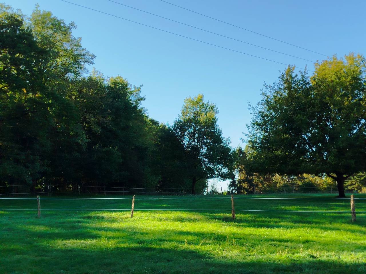 Bella dimora equestre In vendita Indre-et-Loire
