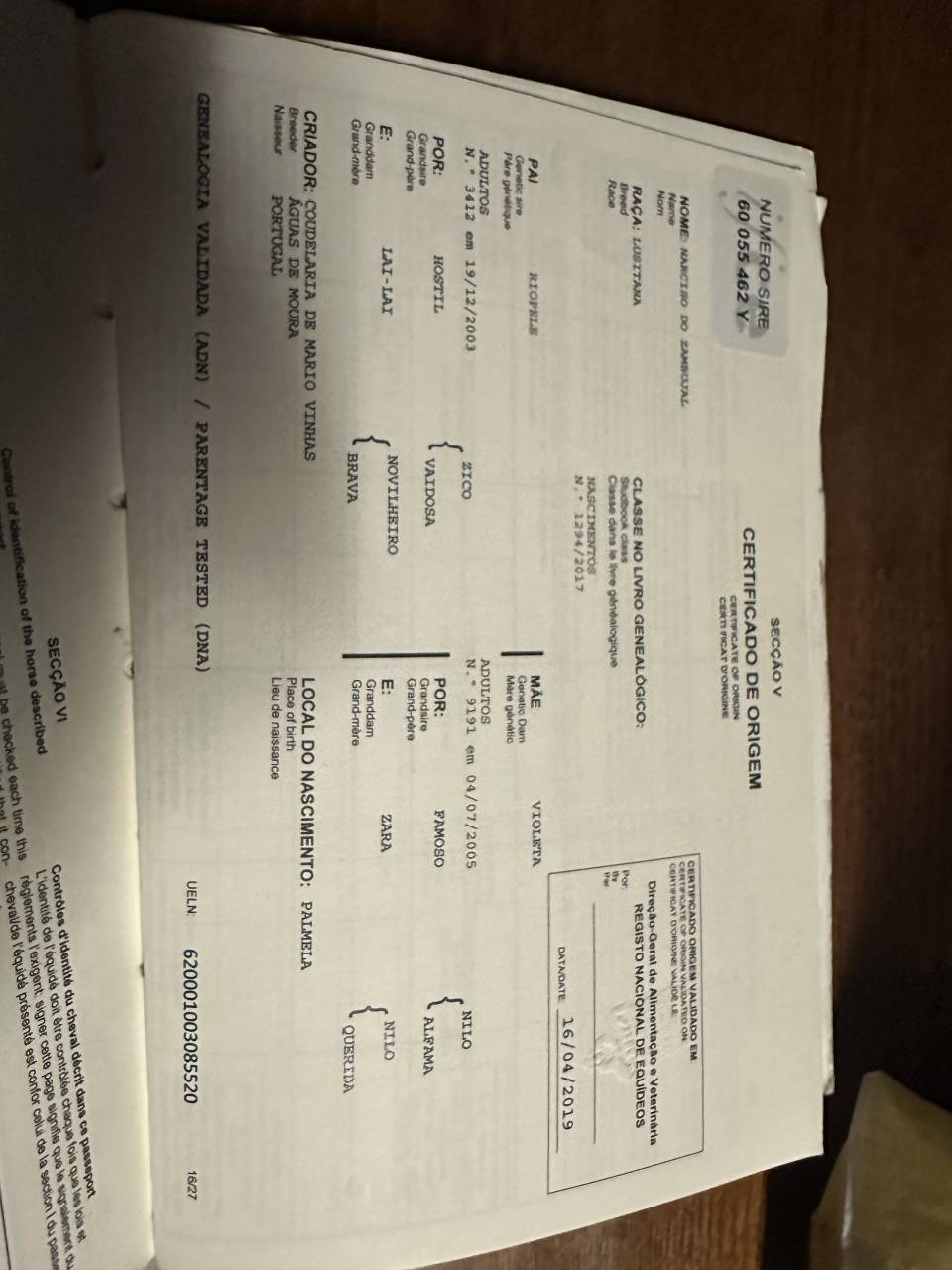 Castrone Lusitano In vendita 2017 Grigio ,  Riopele