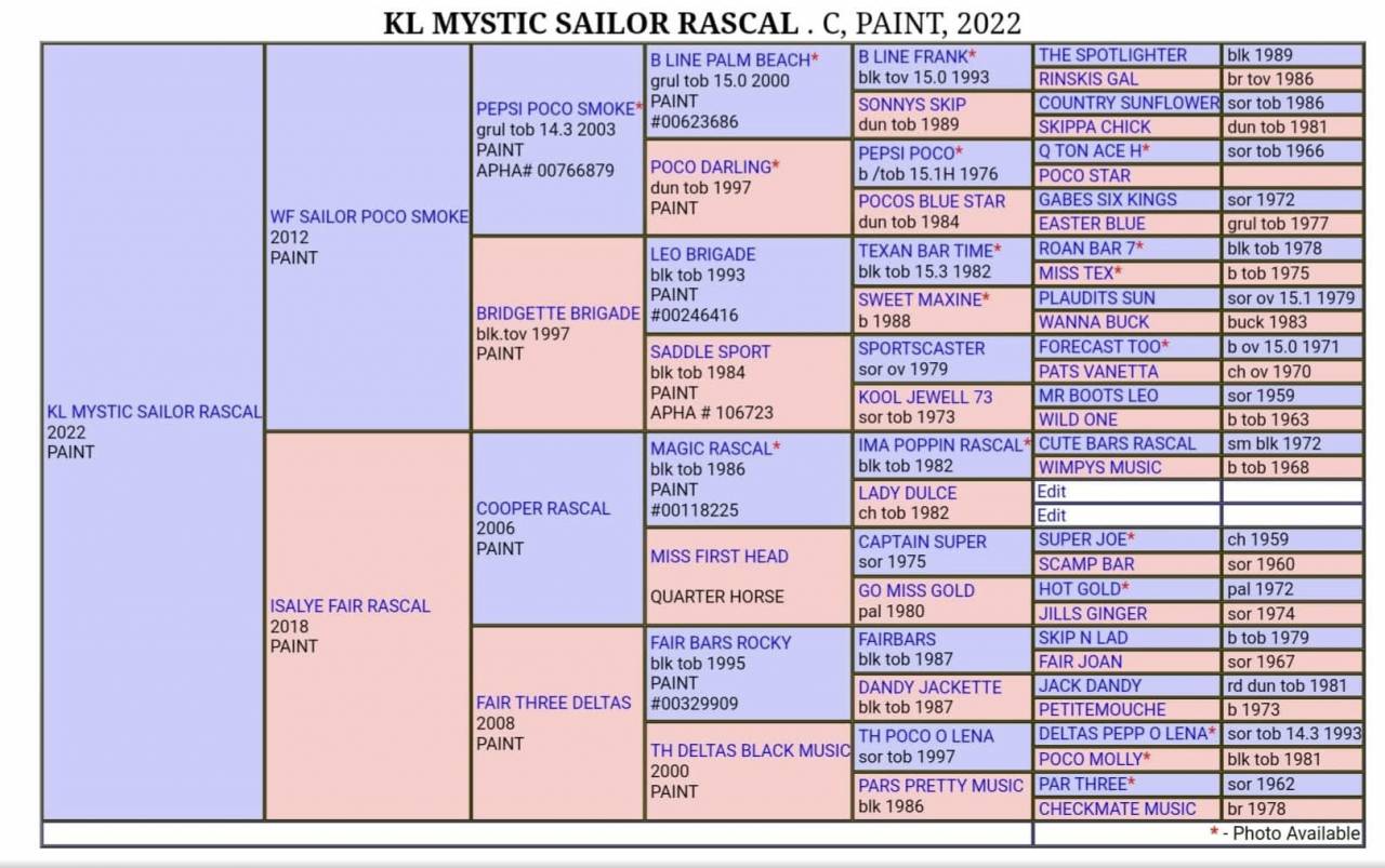Mystic Sailor rascal kl  - Paint Horse 2022