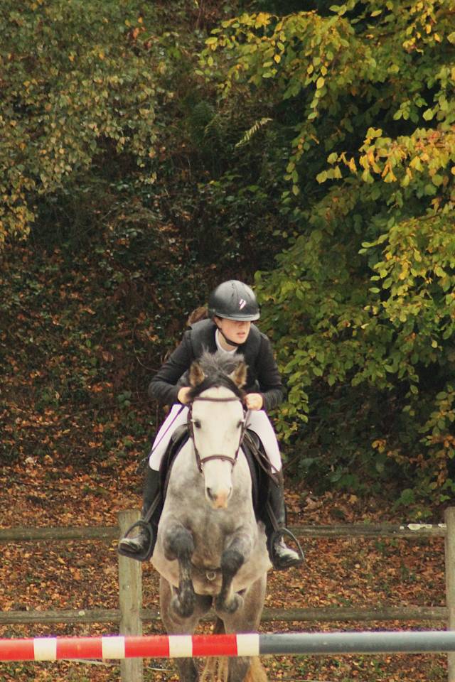 Castrone Origine non conosciuta  In vendita 2020 Grigio