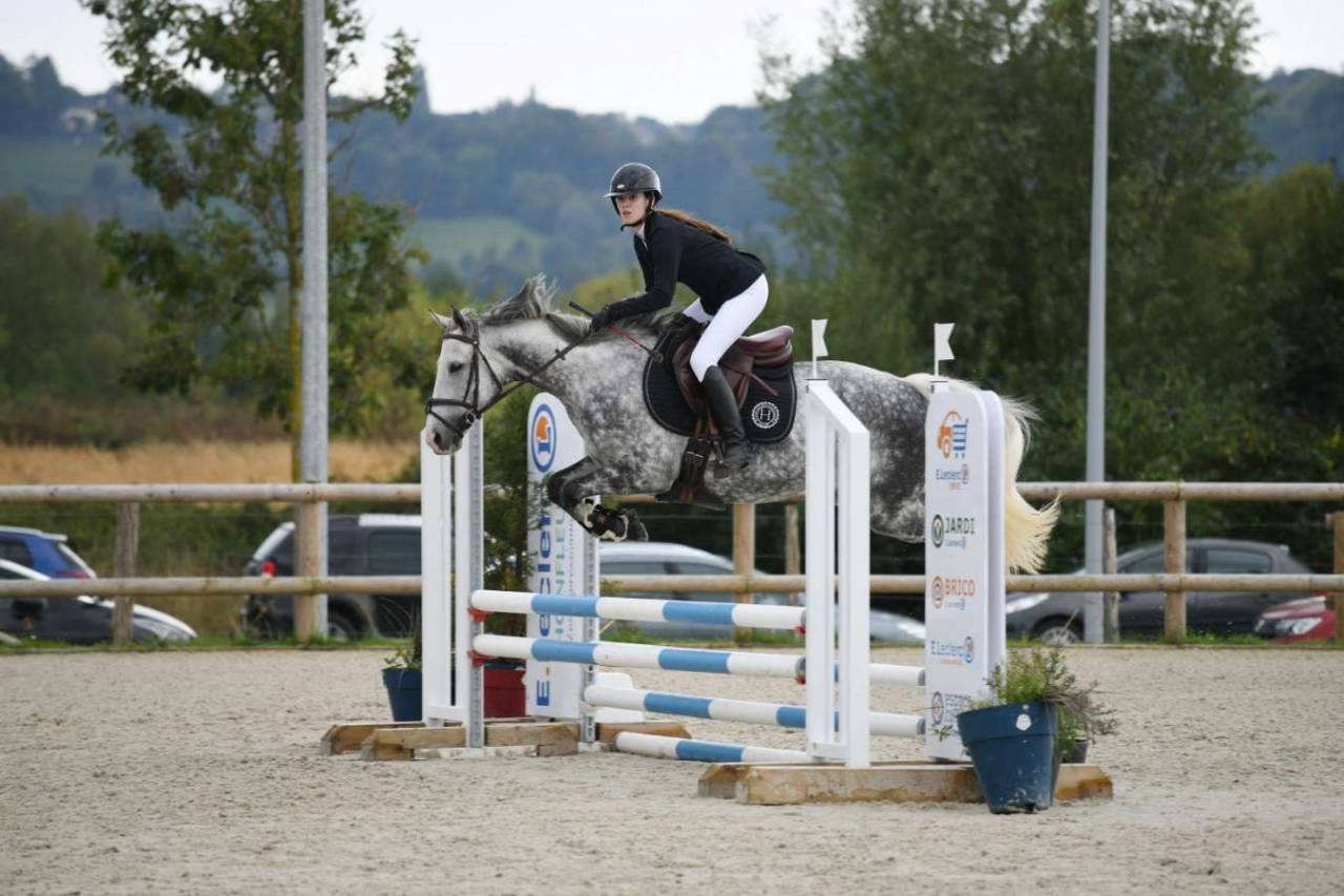 Cavalla Purosangue In vendita 2012 Grigio