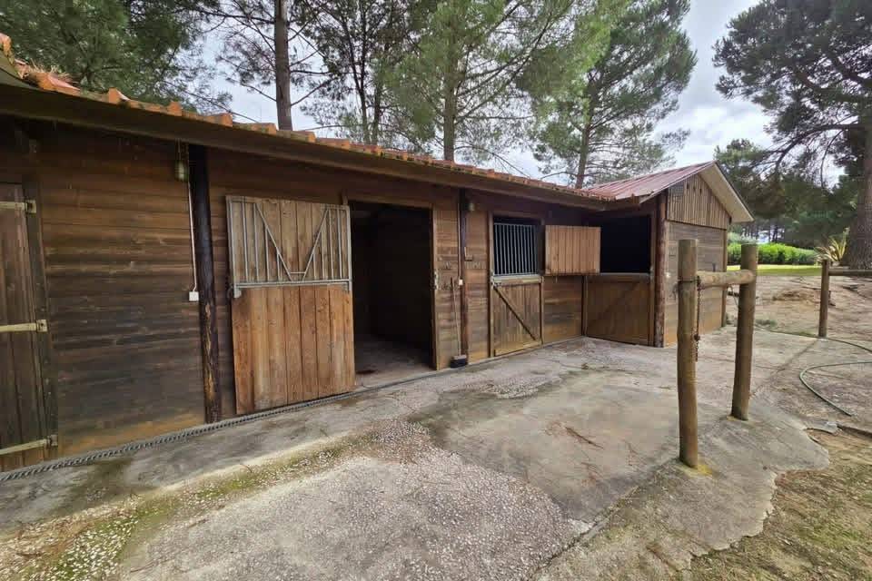 Proprietà equestre In vendita 