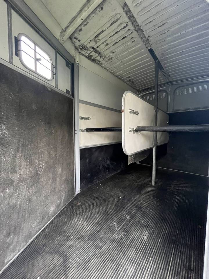 Trailer Ifor Williams  2 Cavalli 2010 Occasione