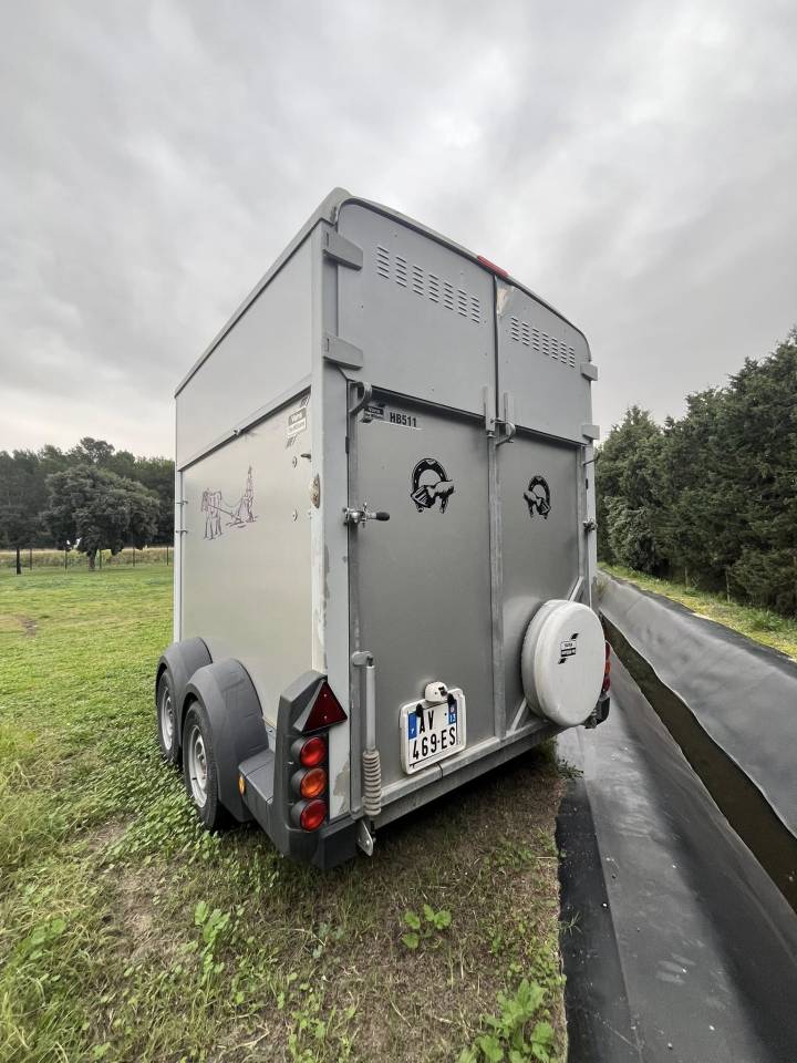 Trailer Ifor Williams  2 Cavalli 2010 Occasione