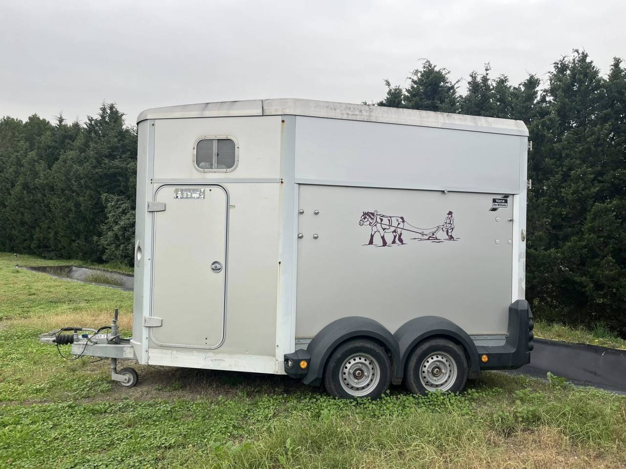 Trailer Ifor Williams  2 Cavalli 2010 Occasione