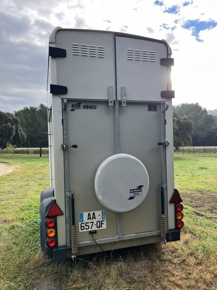 Trailer Ifor Williams  1,5 Cavalli 2009 Occasione
