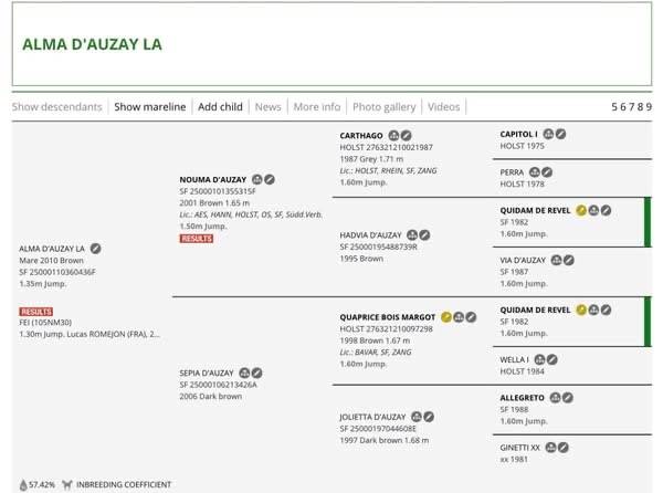 Cavalla Sella Francese In vendita 2010 Baio scuro ,  Nouma d'Auzay