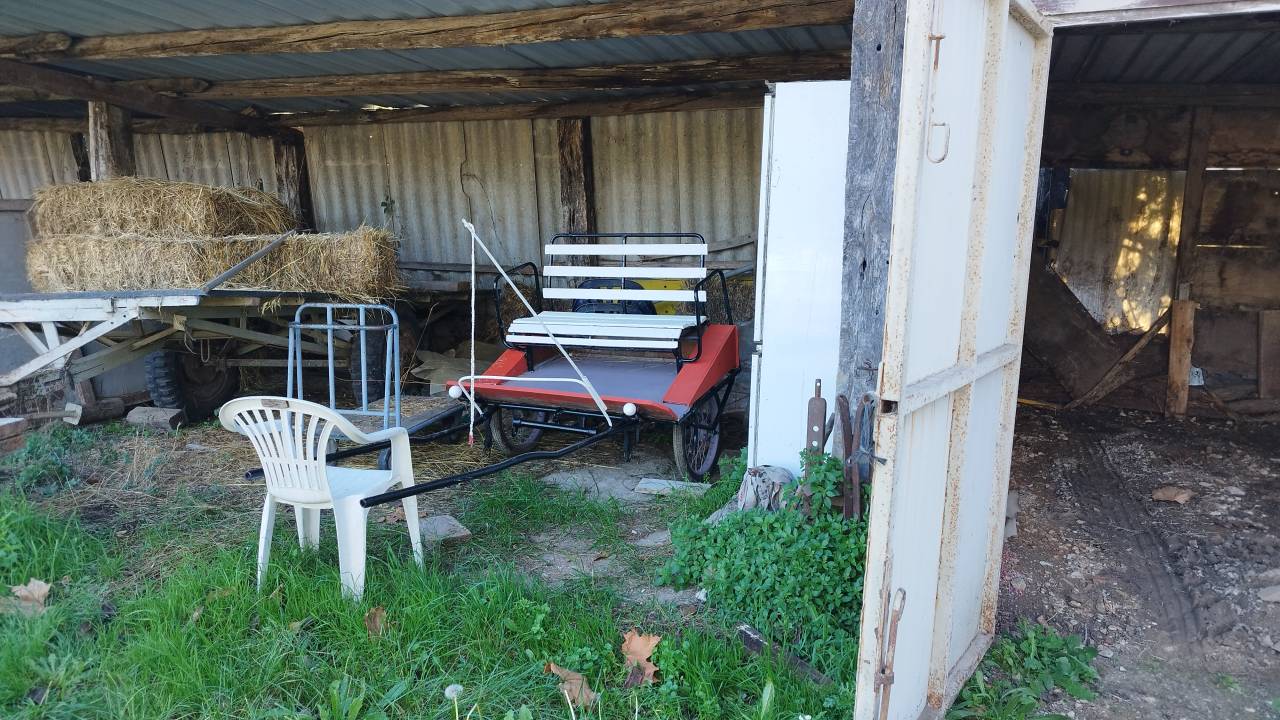 Attacchi - Sulky pony - Altra marca -  