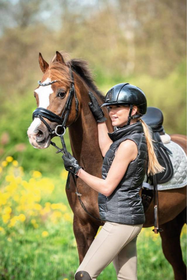 Castrone Welsh Poney (Sezione D), Welsh Cob  In vendita 2015 Sauro brulé ,  King William