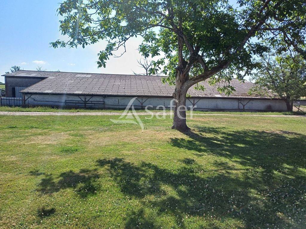 Azienda agricola In vendita Haute-Vienne