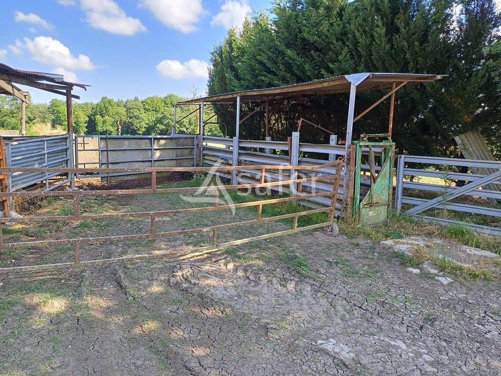 Azienda agricola In vendita Haute-Vienne