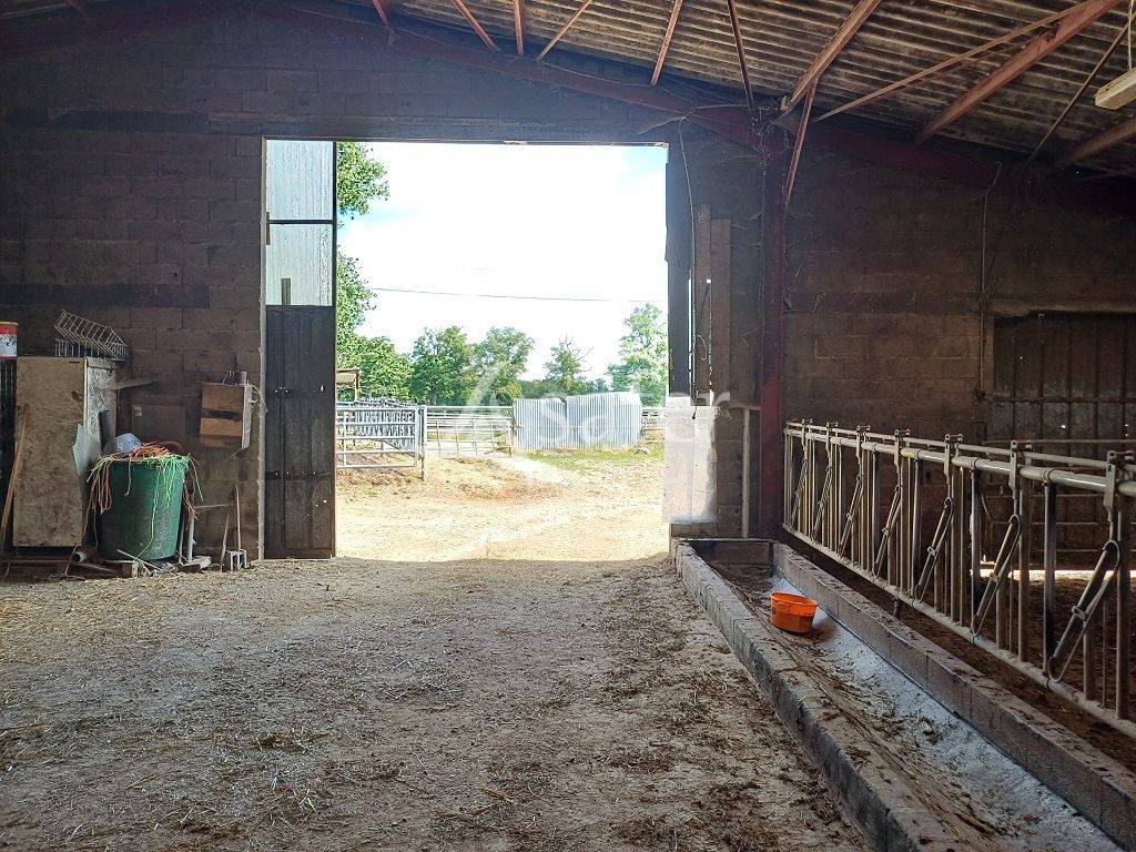 Azienda agricola In vendita Haute-Vienne