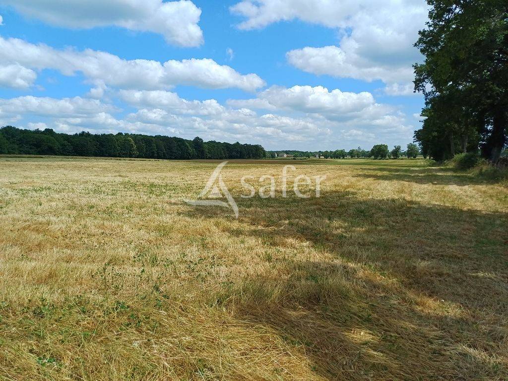 Azienda agricola In vendita Haute-Vienne
