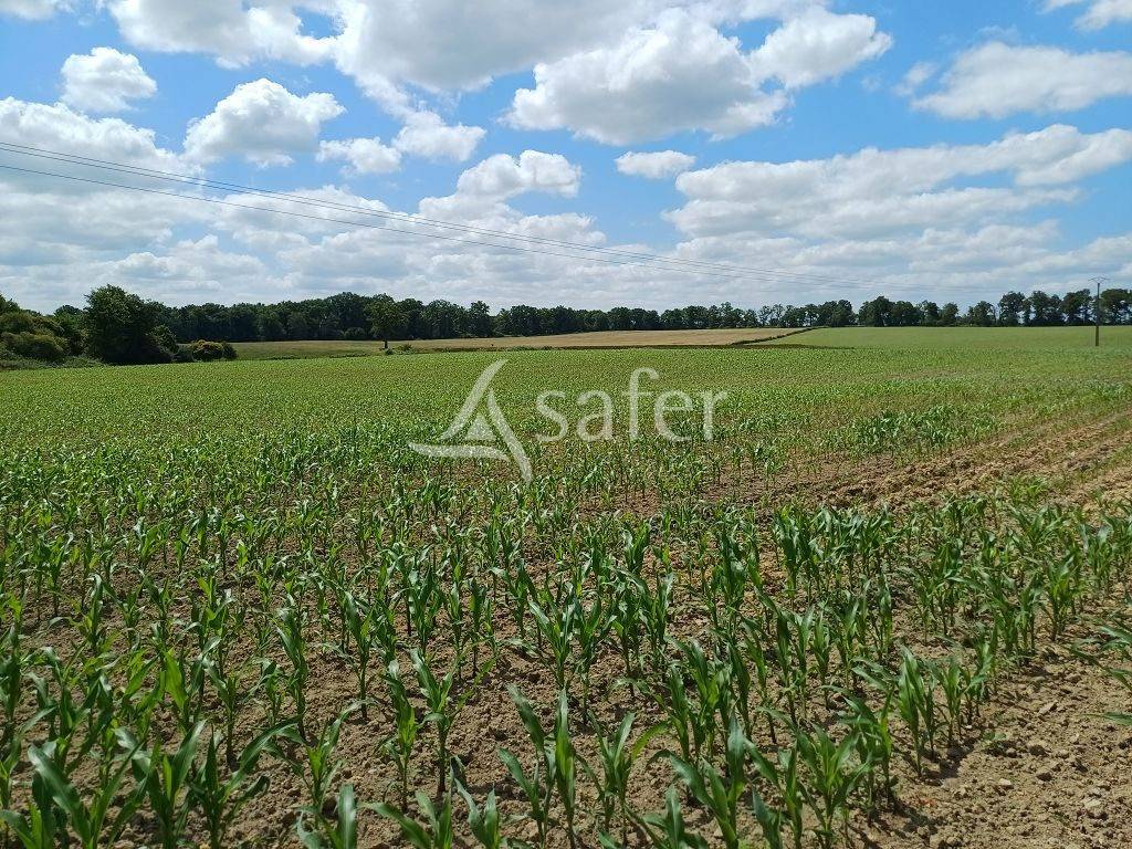 Azienda agricola In vendita Haute-Vienne