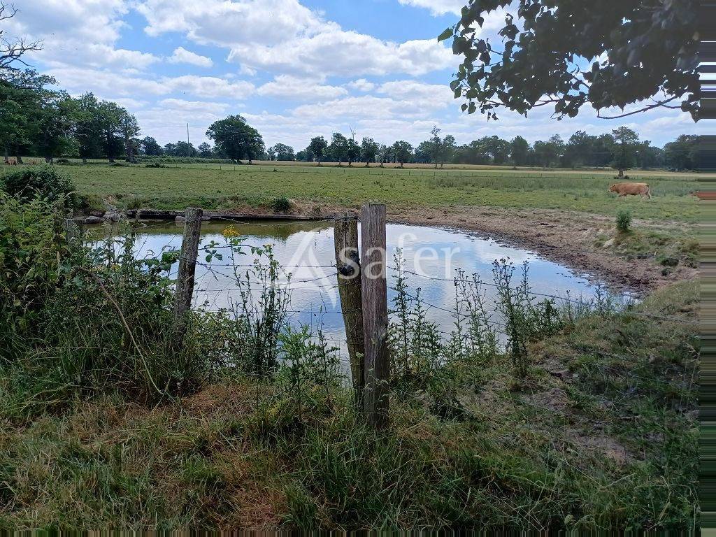 Azienda agricola In vendita Haute-Vienne