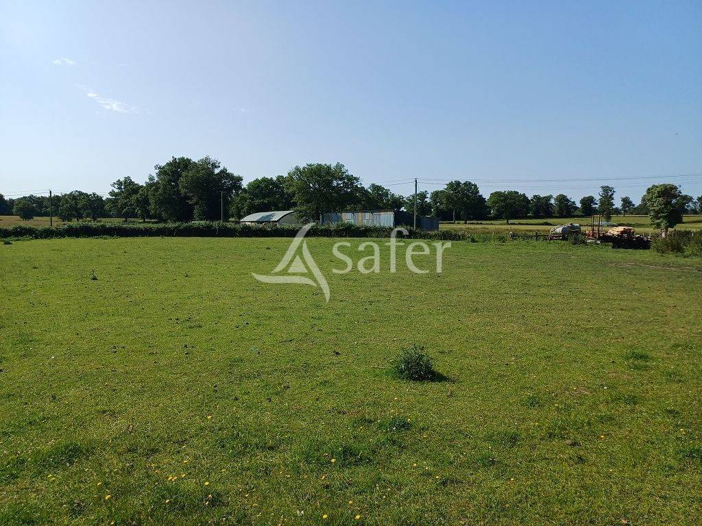 Azienda ovina In vendita Haute-Vienne