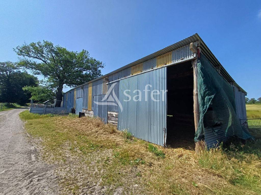 Azienda ovina In vendita Haute-Vienne