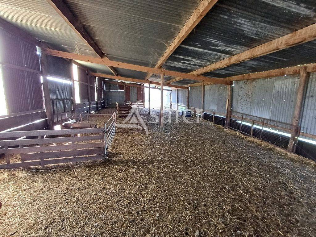 Azienda ovina In vendita Haute-Vienne