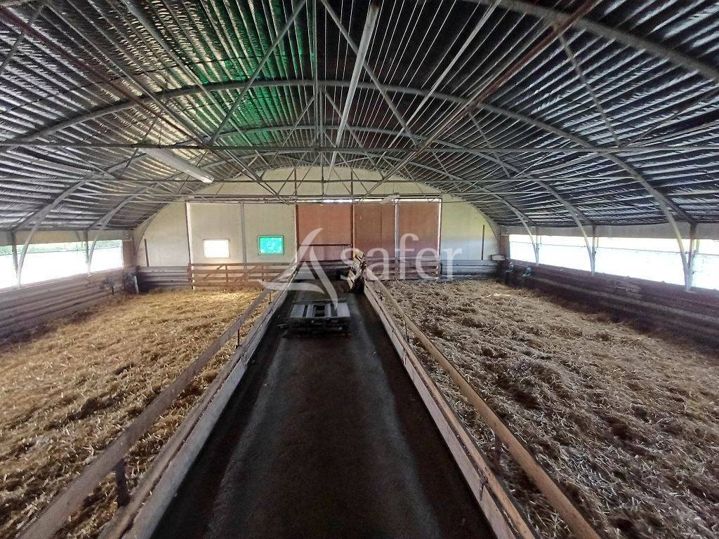 Azienda ovina In vendita Haute-Vienne