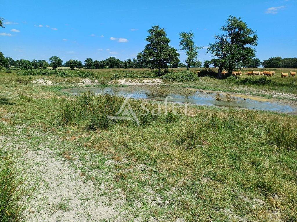 Azienda ovina In vendita Haute-Vienne