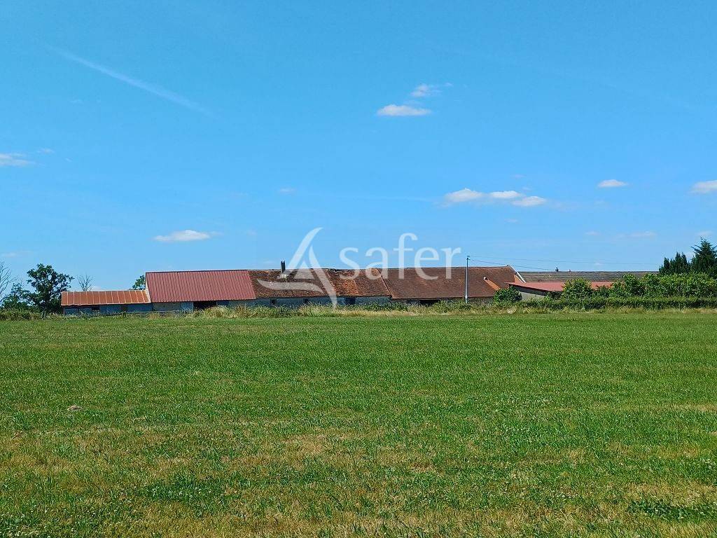 Azienda ovina In vendita Haute-Vienne