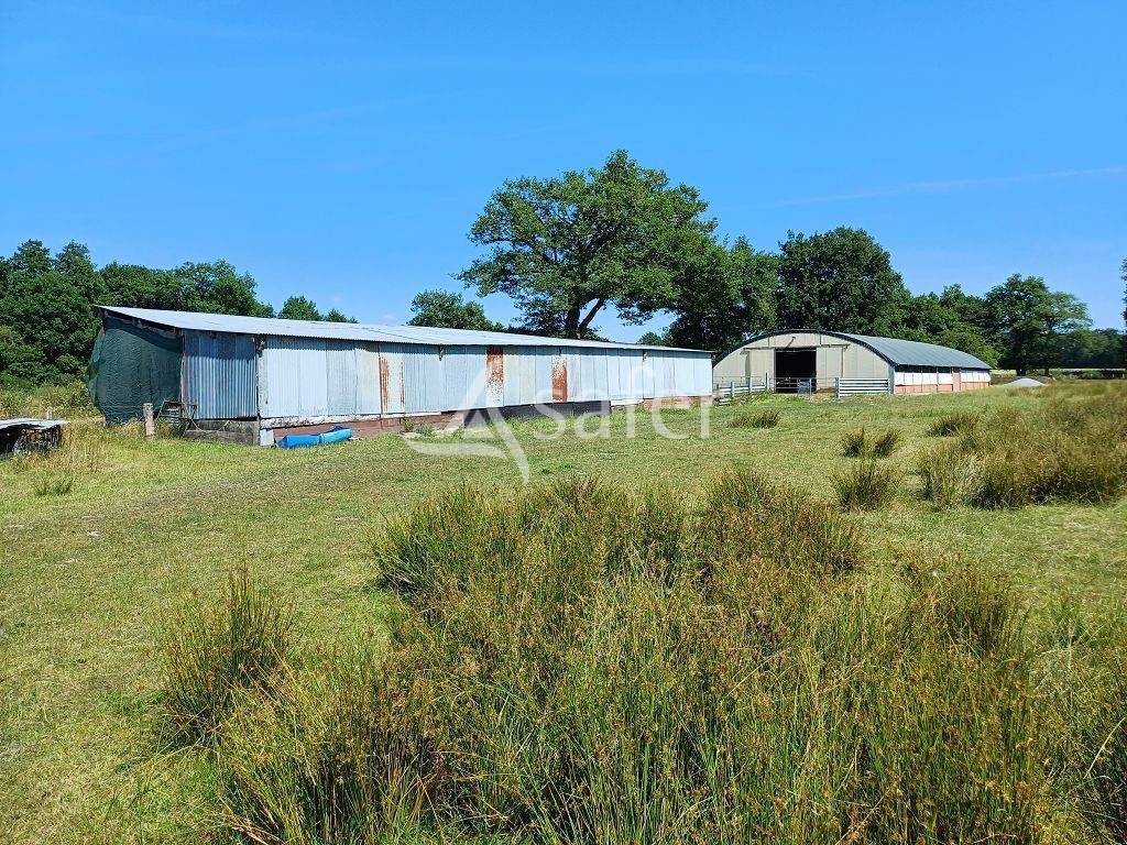 Azienda ovina In vendita Haute-Vienne