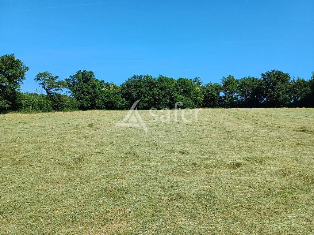 Azienda ovina In vendita Haute-Vienne