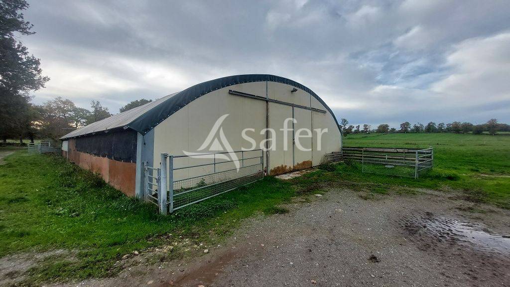 Azienda ovina In vendita Haute-Vienne