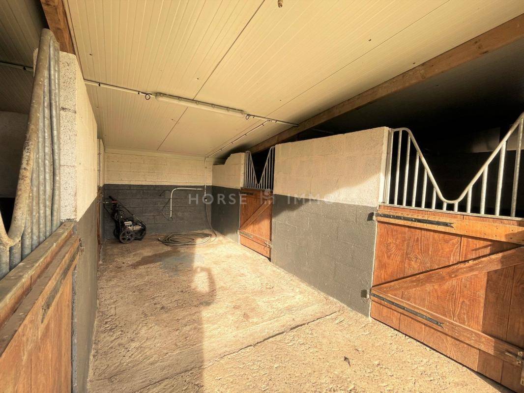 Centro di stagione cavallo In vendita Maine-et-Loire