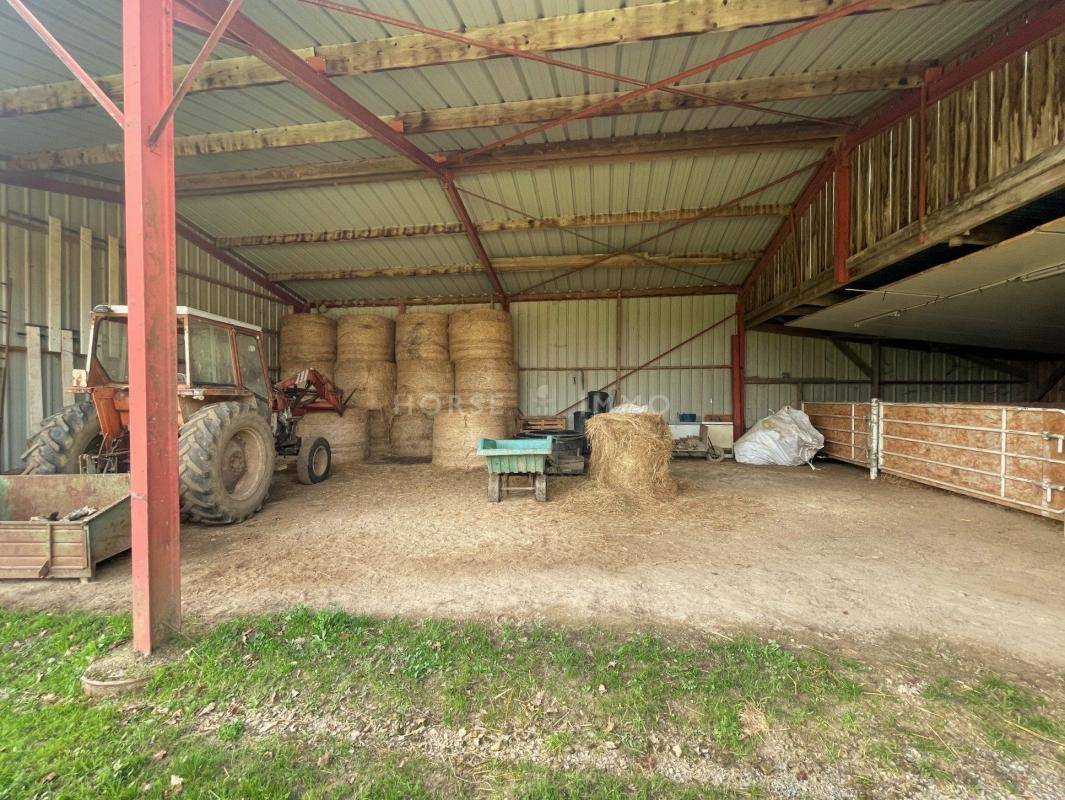 Centro di stagione cavallo In vendita Maine-et-Loire