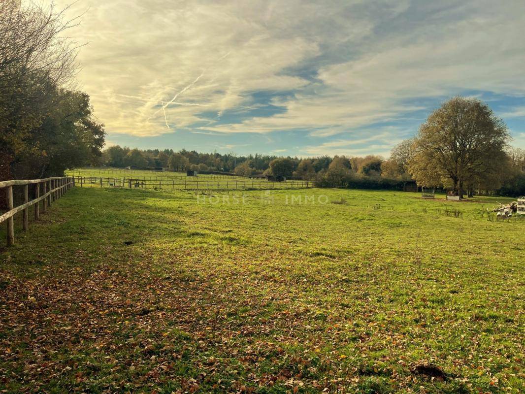 Centro di stagione cavallo In vendita Maine-et-Loire