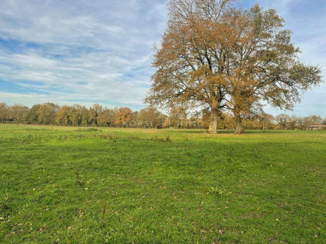 Centro di stagione cavallo In vendita Maine-et-Loire